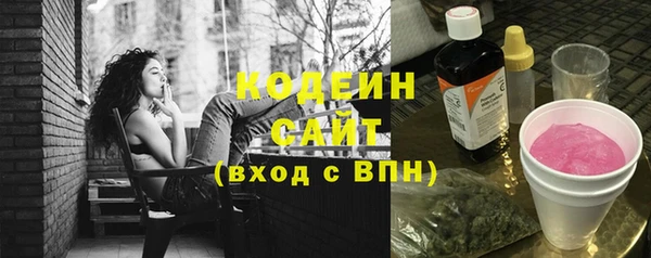 индика Новосибирск