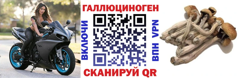 Псилоцибиновые грибы мицелий  купить наркоту  Семёнов 